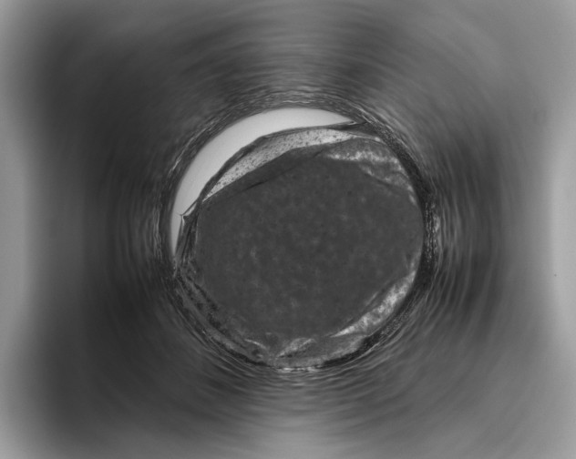 X0000095940508200802011044