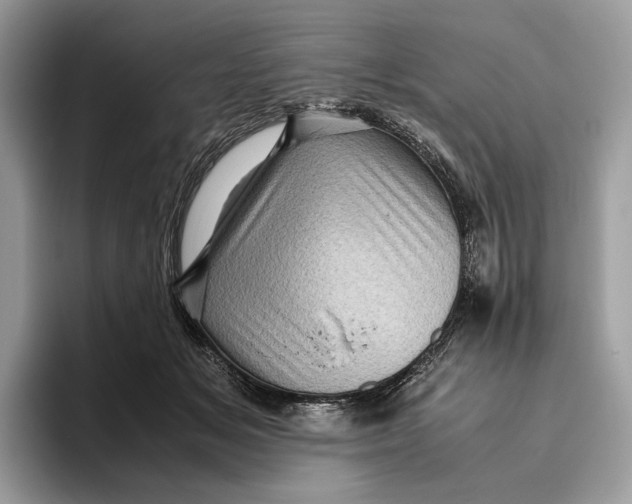 X0000095940509200802011044