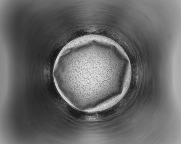 X0000095940510200802011044