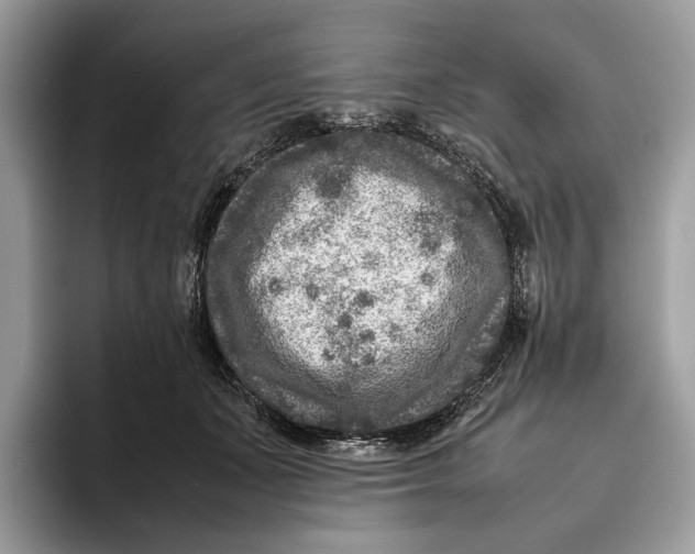 X0000095940511200802011044