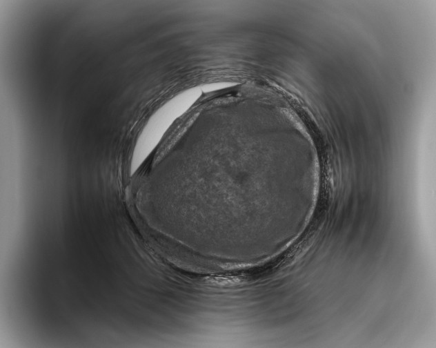 X0000095940512200802011044