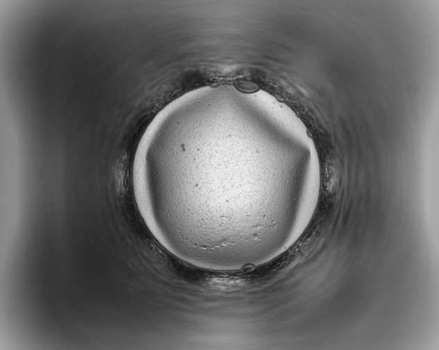 X0000095940515200802011044