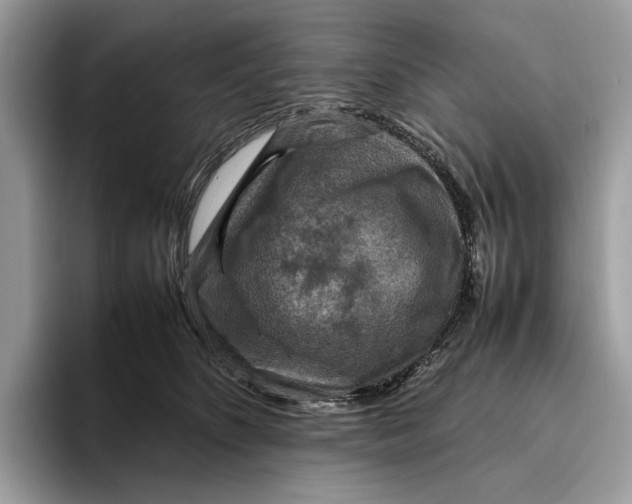 X0000095940516200802011044