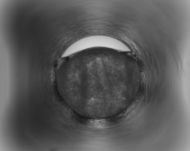 X0000095940517200802011044