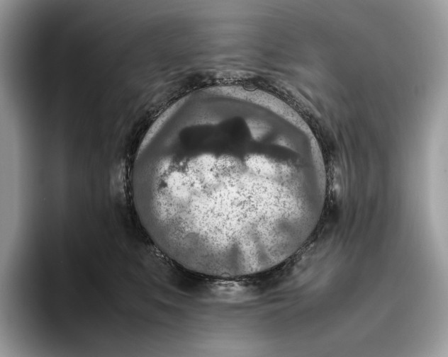 X0000095940519200802011044