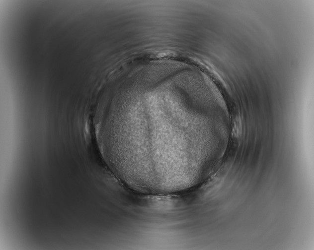 X0000095940524200802011044