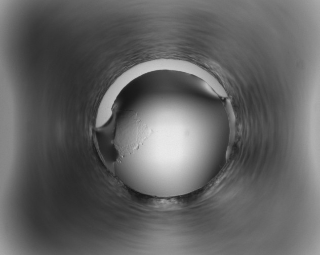 X0000095940525200802011044