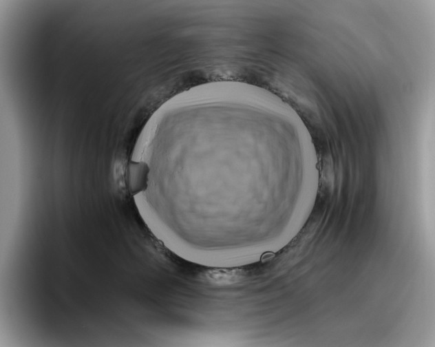 X0000095940526200802011044