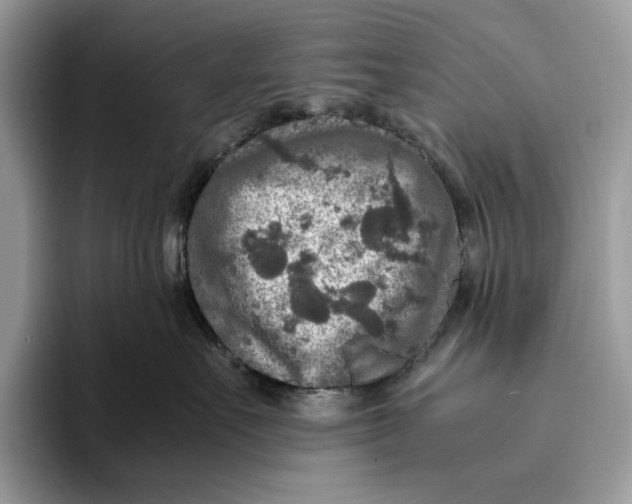 X0000095940527200802011044