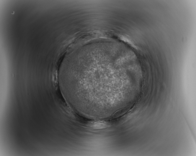 X0000095940528200802011044