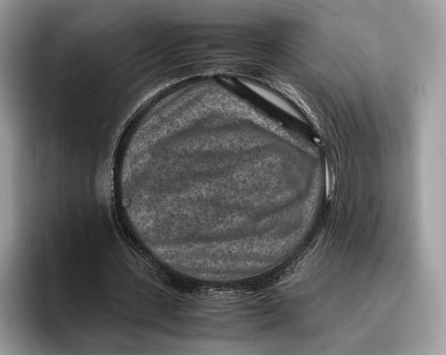 X0000095940531200802011043