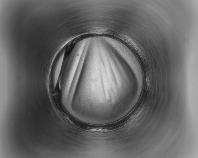 X0000095940532200802011043