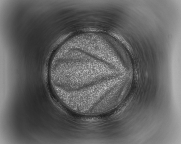 X0000095940533200802011043