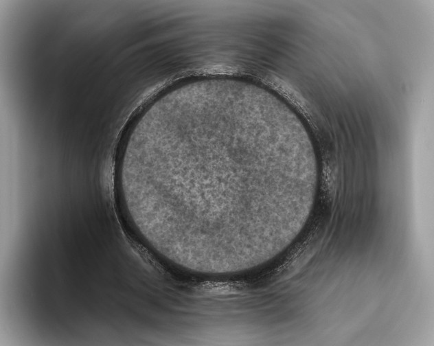 X0000095940534200802011043