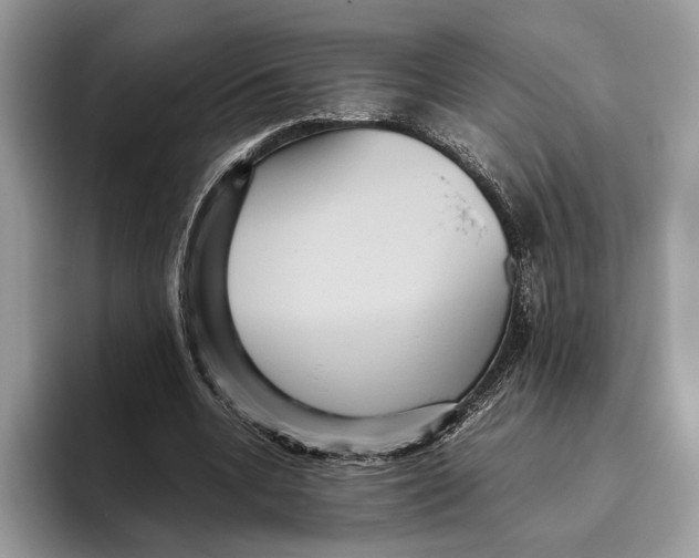 X0000095940536200802011043