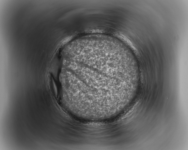 X0000095940537200802011043