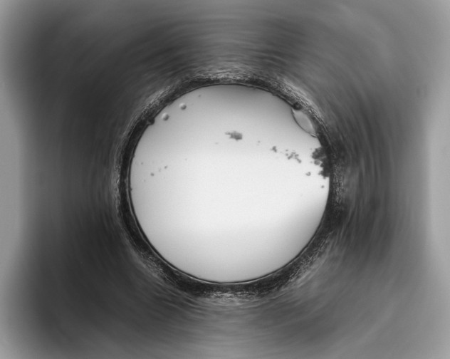 X0000095940538200802011043