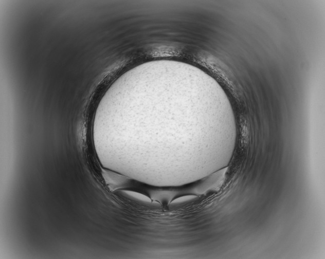 X0000095940539200802011043