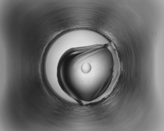 X0000095940540200802011043