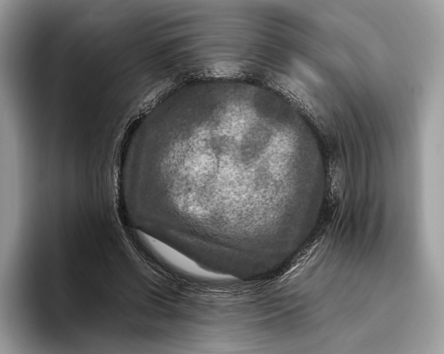 X0000095940542200802011043