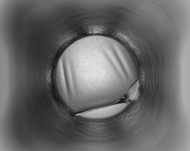 X0000095940543200802011043