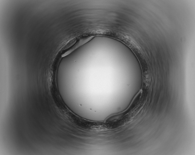 X0000095940544200802011043