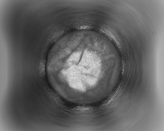 X0000095940545200802011043