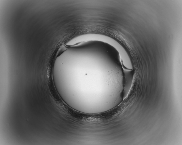 X0000095940546200802011043