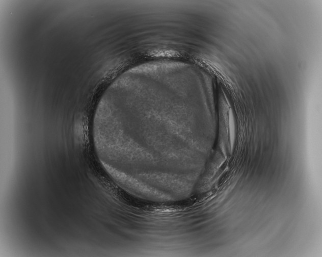 X0000095940547200802011043