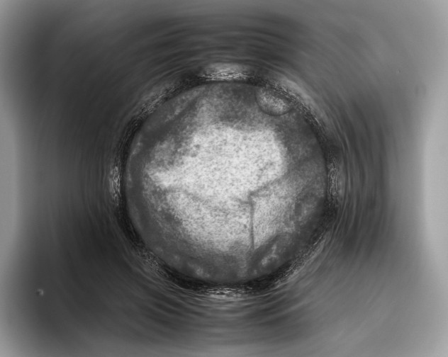 X0000095940549200802011043