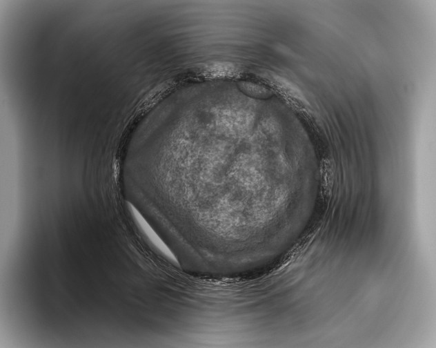 X0000095940550200802011043