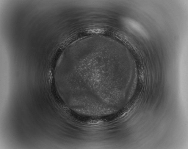 X0000095940551200802011043