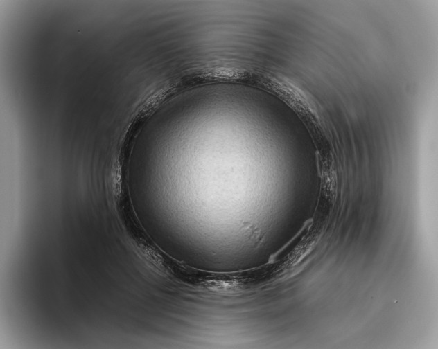 X0000095940552200802011044