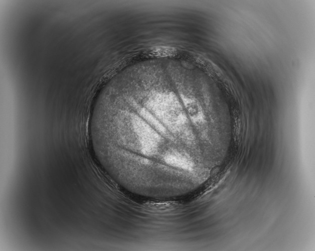 X0000095940553200802011044