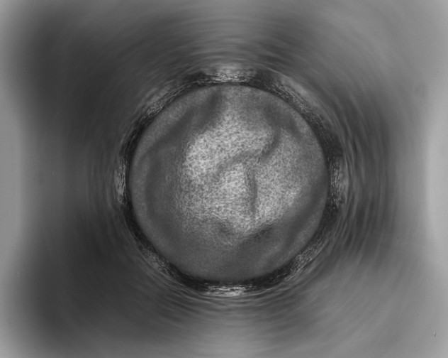 X0000095940554200802011044