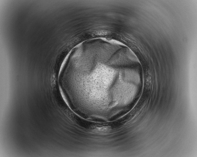 X0000095940555200802011044