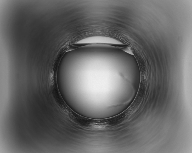 X0000095940556200802011044