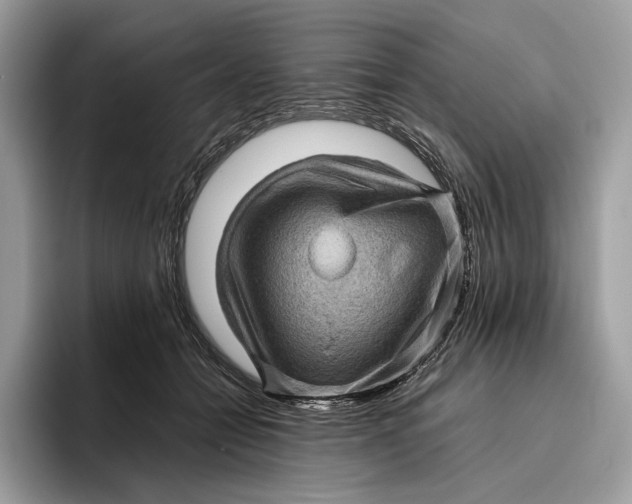 X0000095940558200802011044