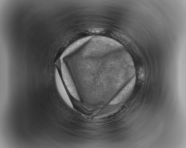 X0000095940559200802011044