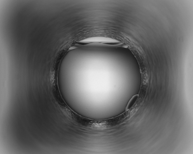 X0000095940560200802011044