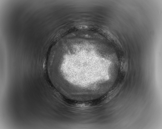 X0000095940561200802011044