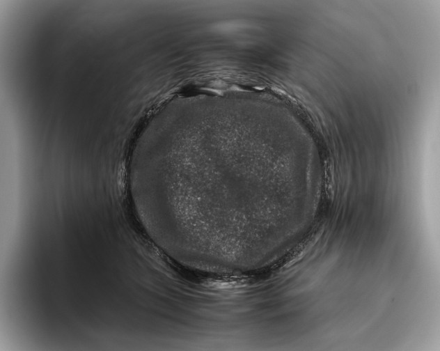 X0000095940563200802011044