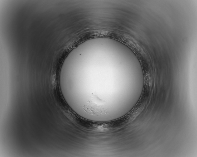 X0000095940564200802011044