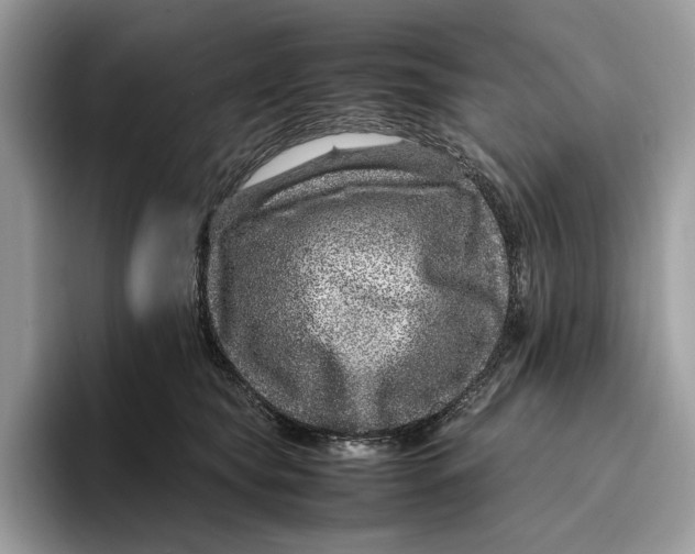 X0000095940565200802011044