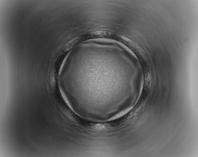 X0000095940566200802011044