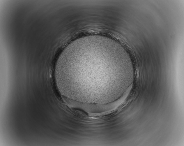 X0000095940567200802011044