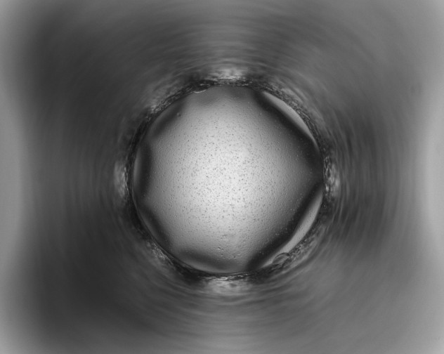 X0000095940568200802011044