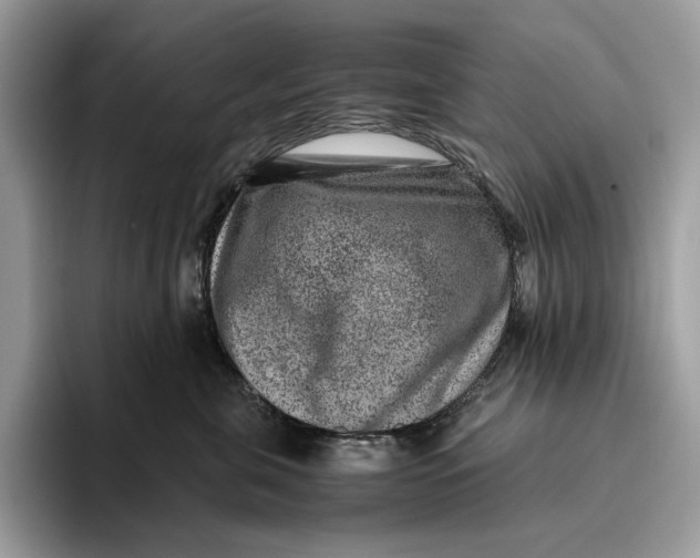 X0000095940571200802011044