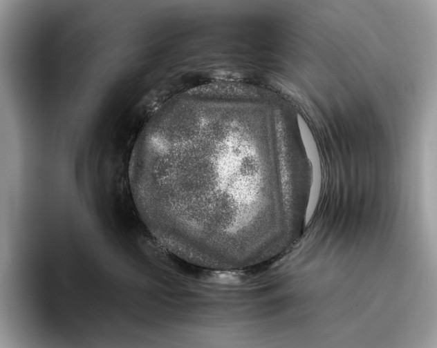 X0000095940573200802011044