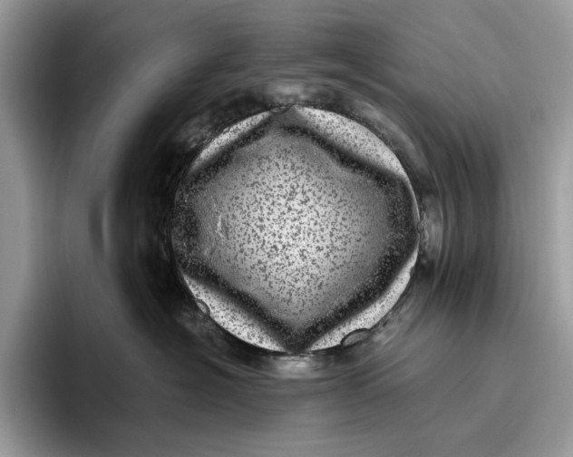 X0000095940574200802011044